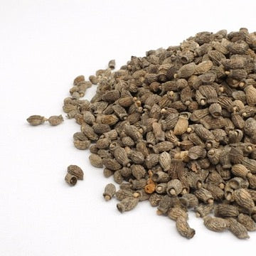 Ogórecznik lekarski – nasiona mikroziół