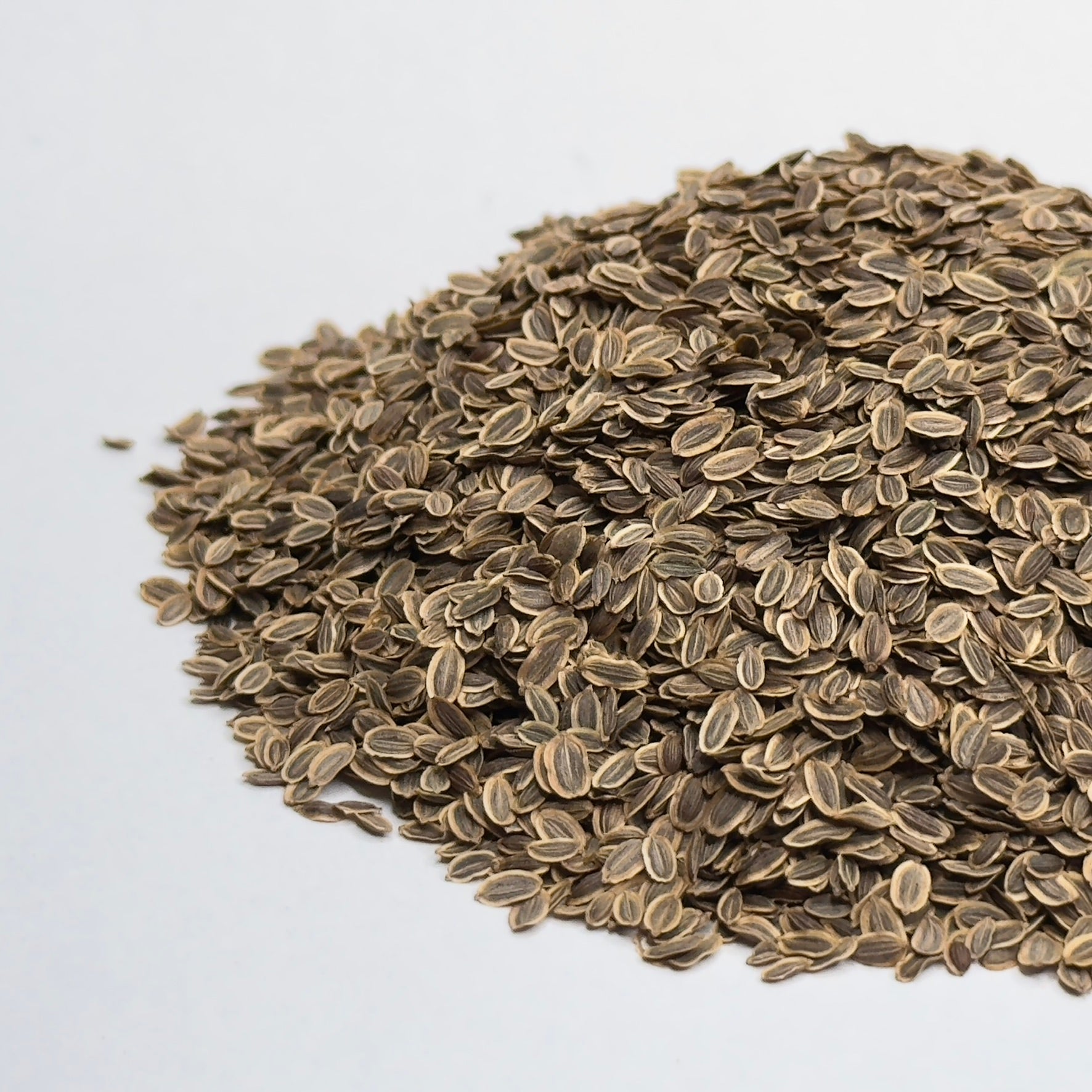 Koper - nasiona mikroliści