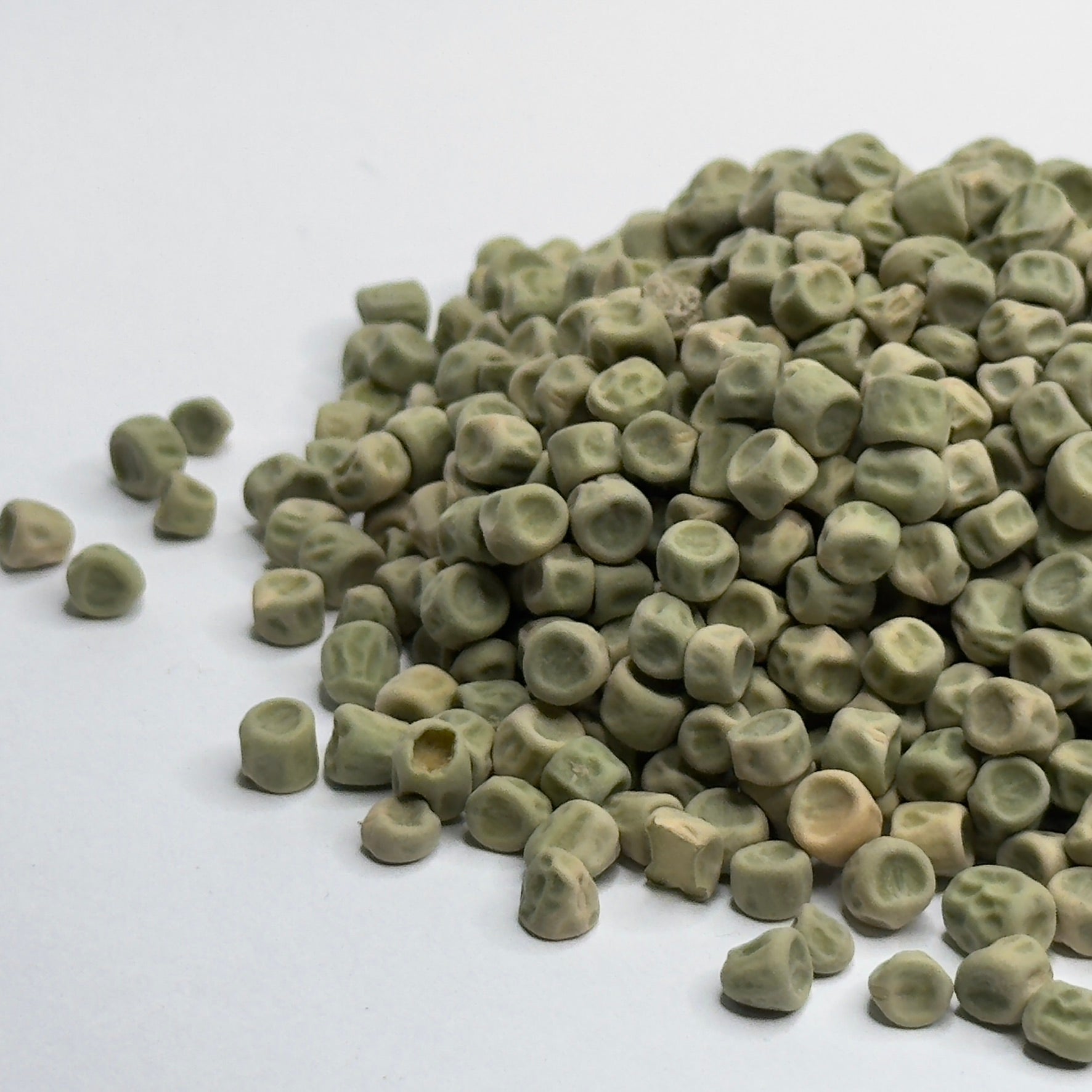 Groch Affila Victoria – nasiona mikroliści