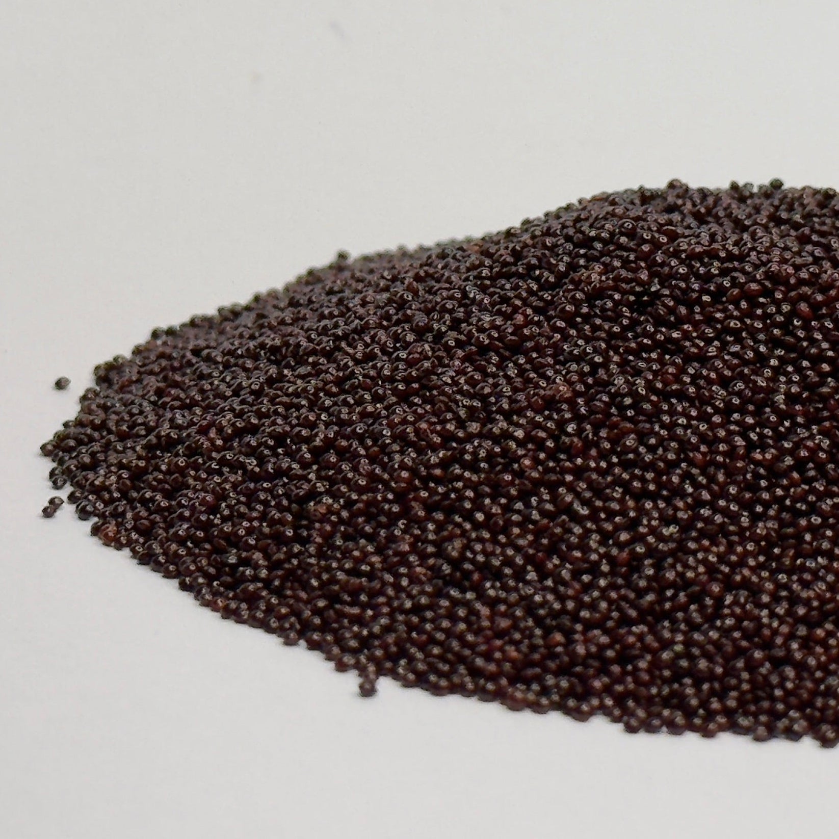 Amarantus czerwony – nasiona mikroliści