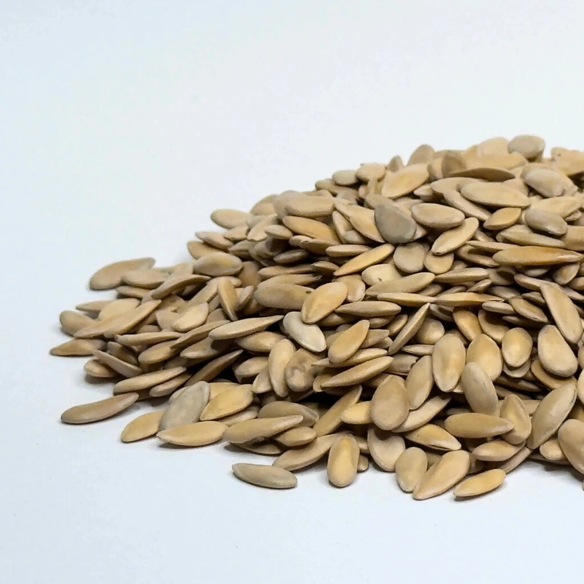 Melon Cantaloupe - microgreens seeds