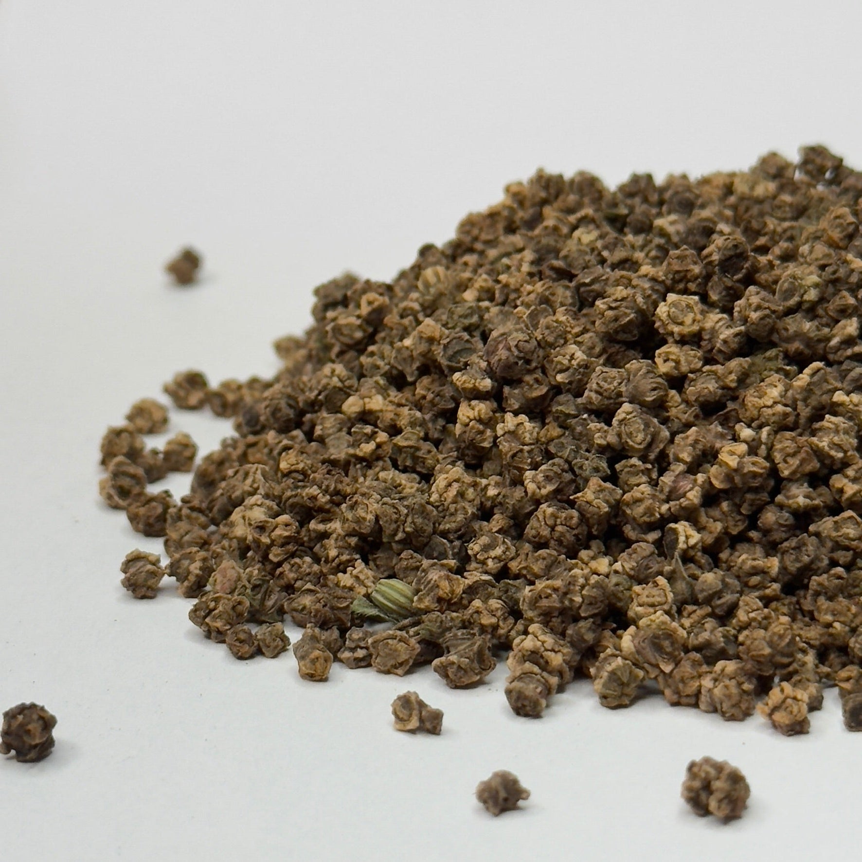 Beet, Bull’s Blood - microgreens seeds for growing
