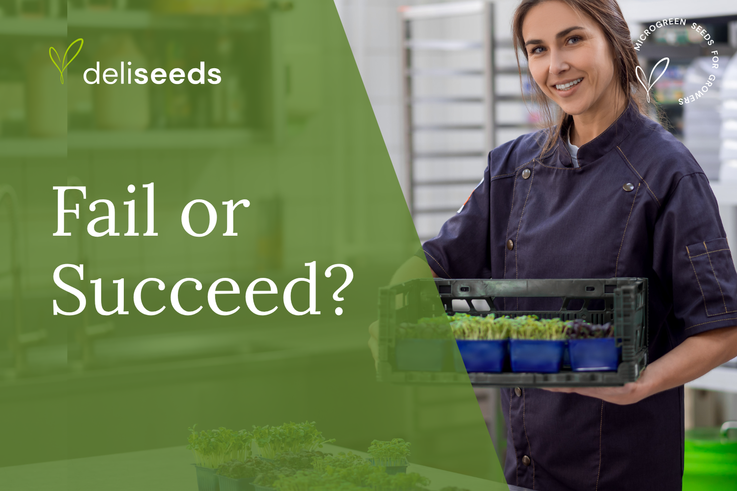 Common microgreens business mistakes and success strategies