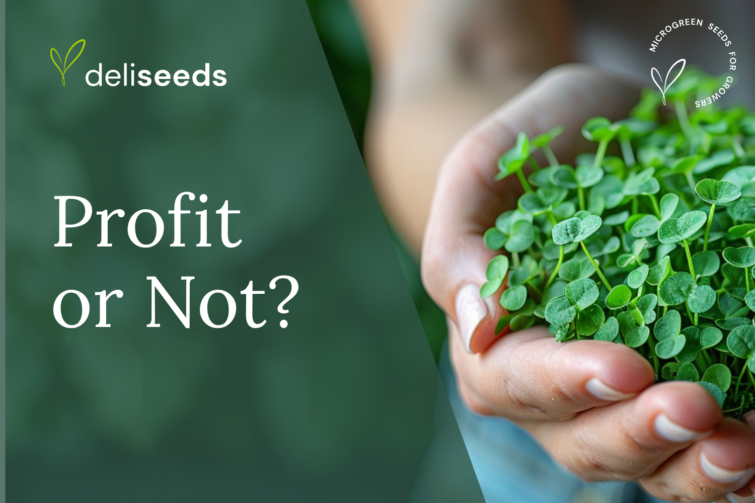 Microgreens profitability and pricing guide for growers