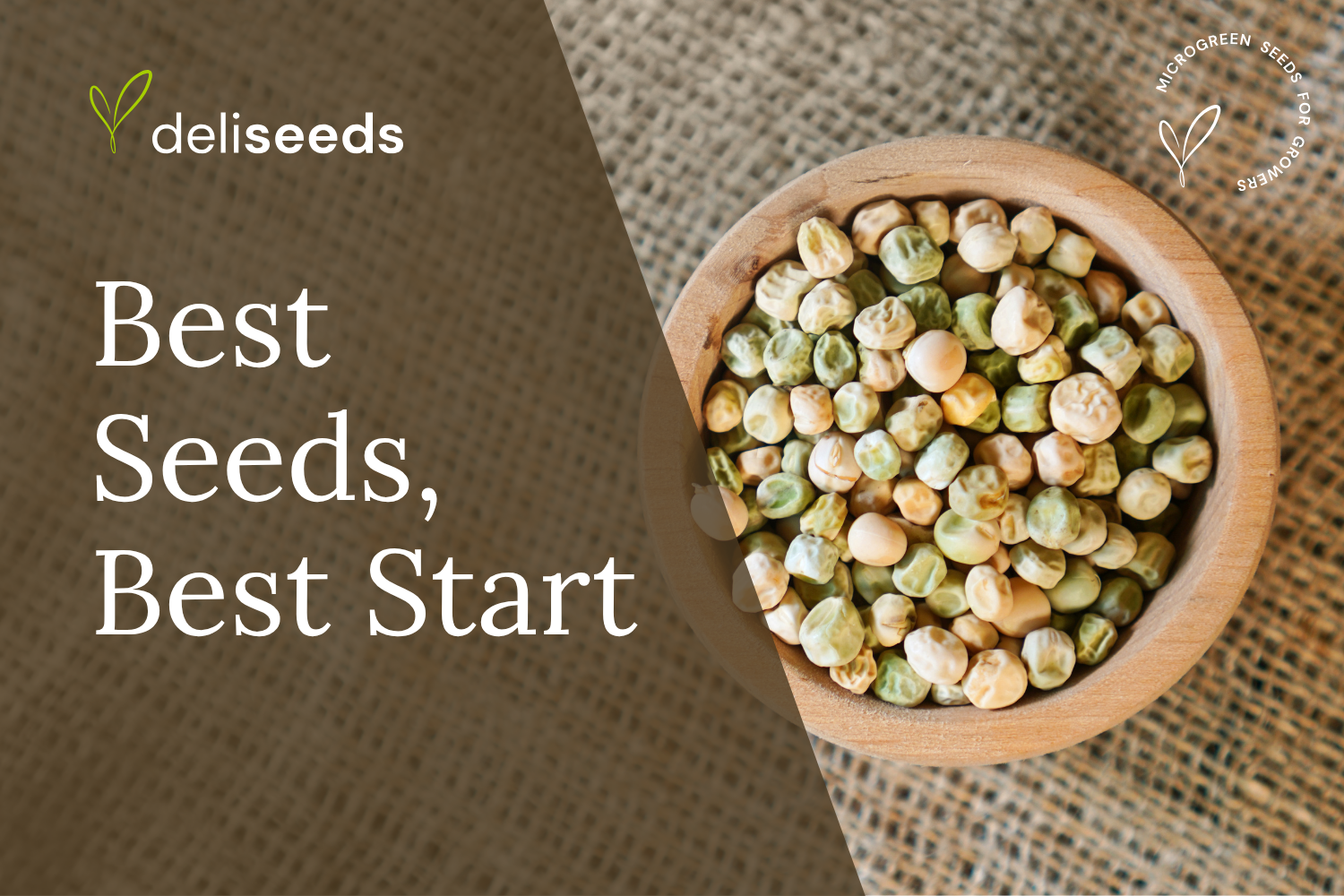 Microgreens seeds and supplies for commercial growing