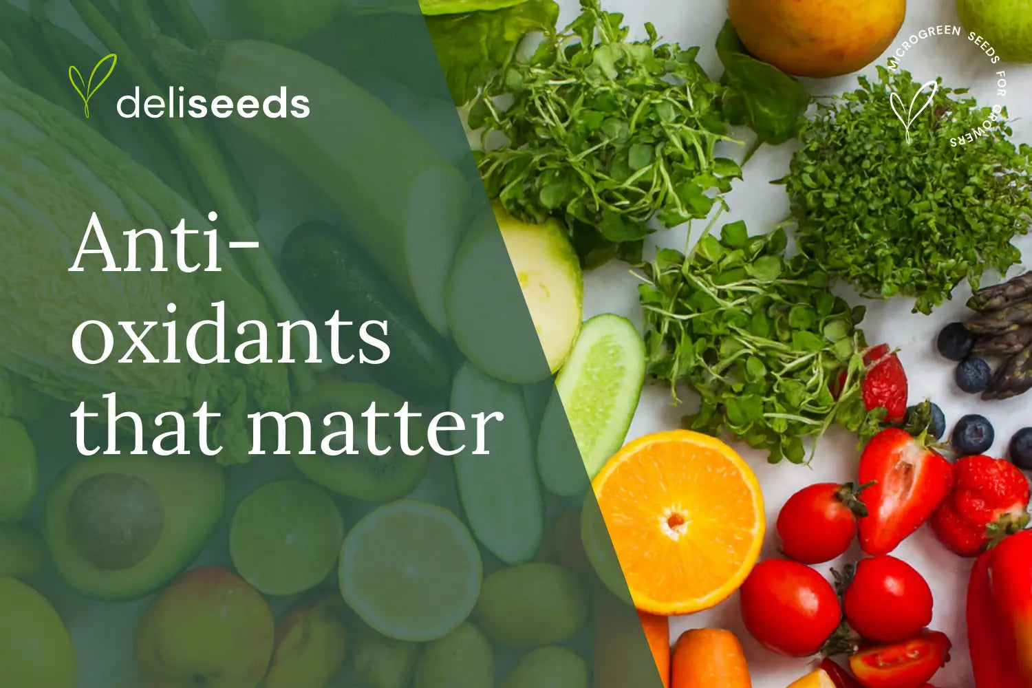 A-Guide-to-Microgreen-Antioxidants-Polyphenols-Carotenoids Deliseeds