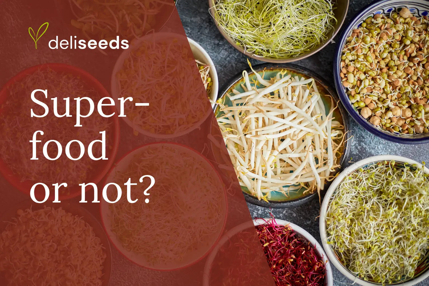 Fresh microgreens beside nutrition notes for evidence-based superfood guide