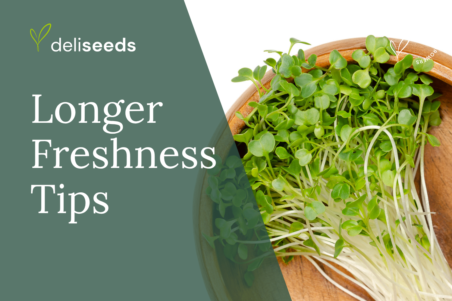 Post-harvest handling and packaging for longer microgreens shelf life