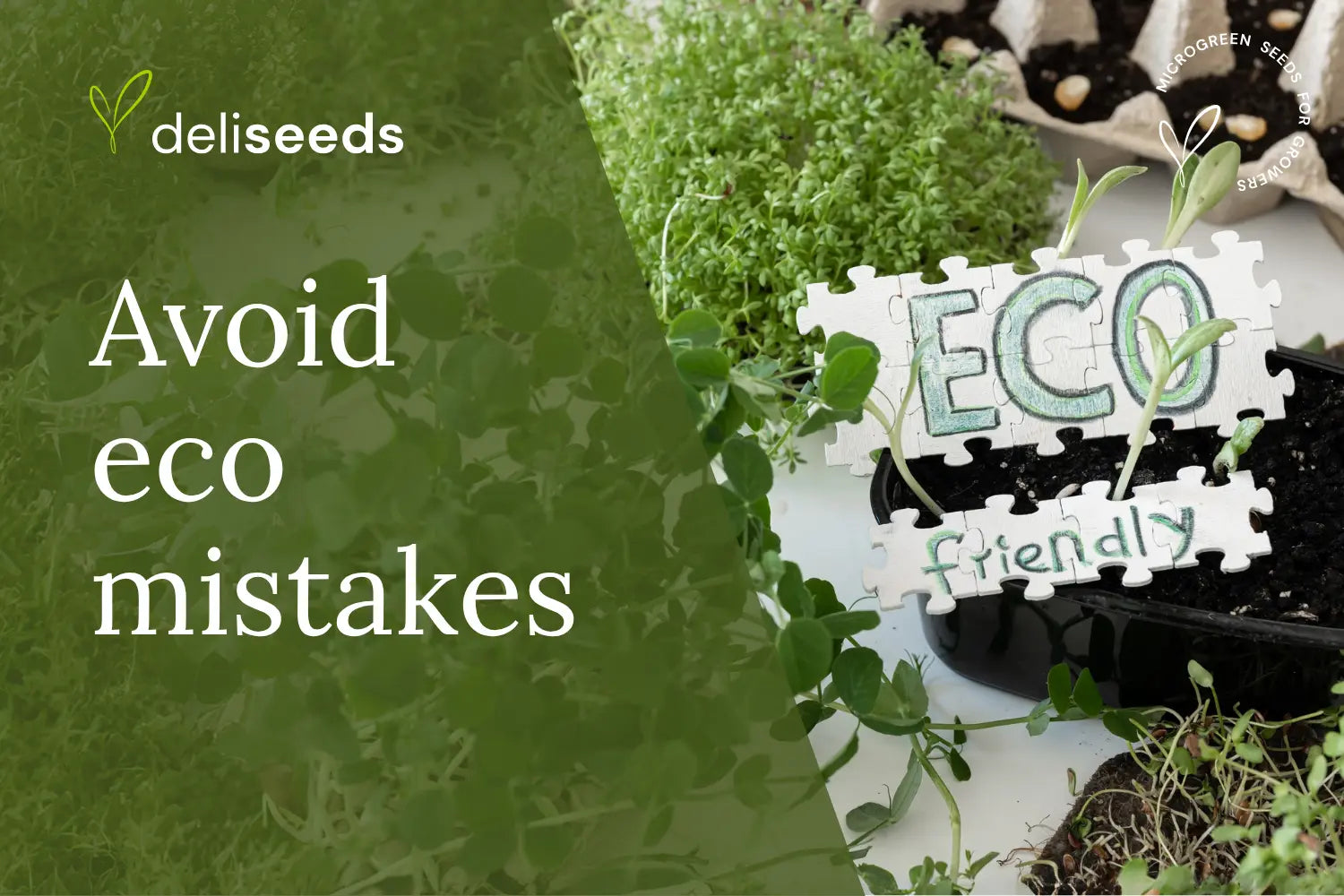 Eco-gardening setup highlighting sustainable choices and common mistakes