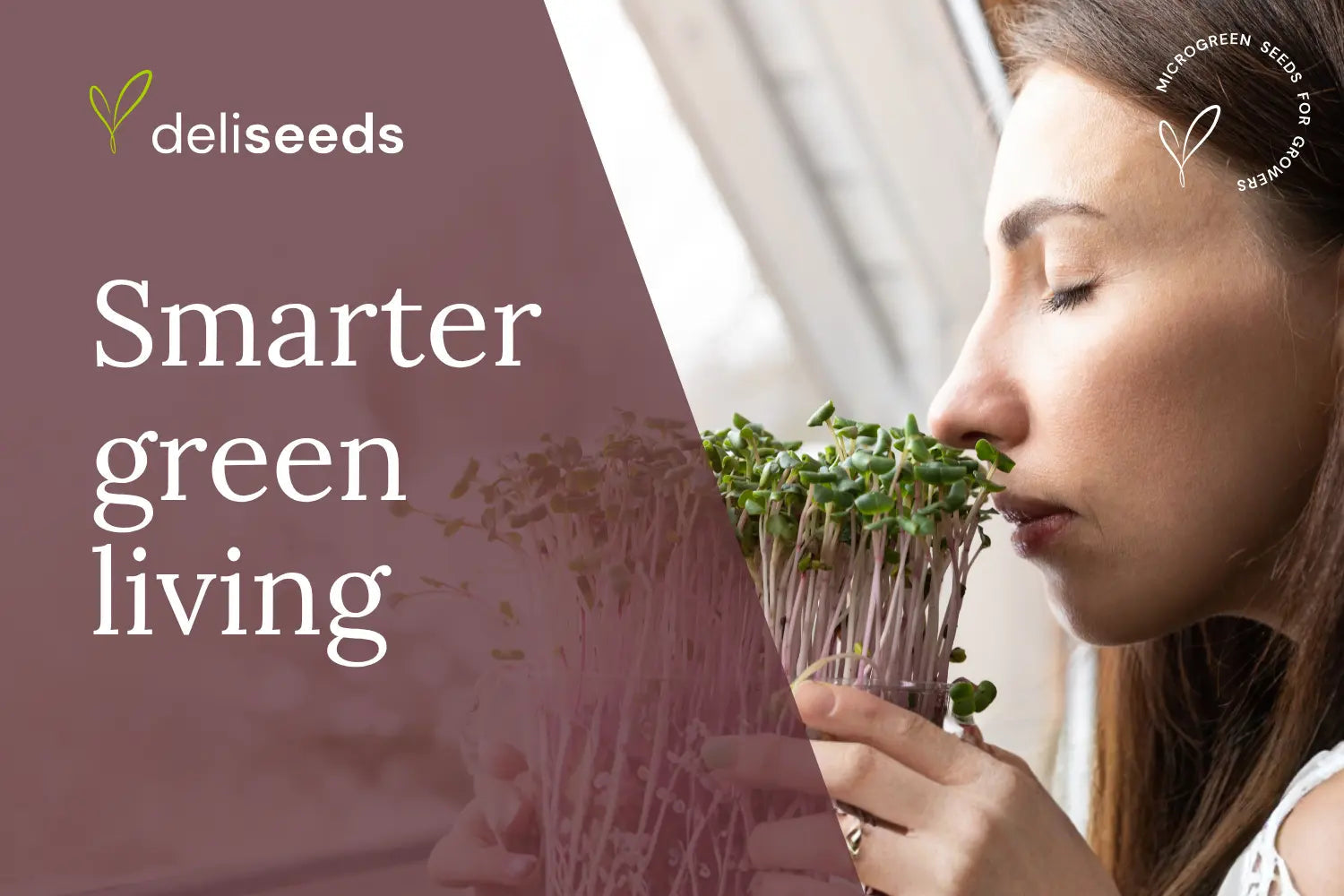Sustainable urban garden setup with low-footprint growing practices