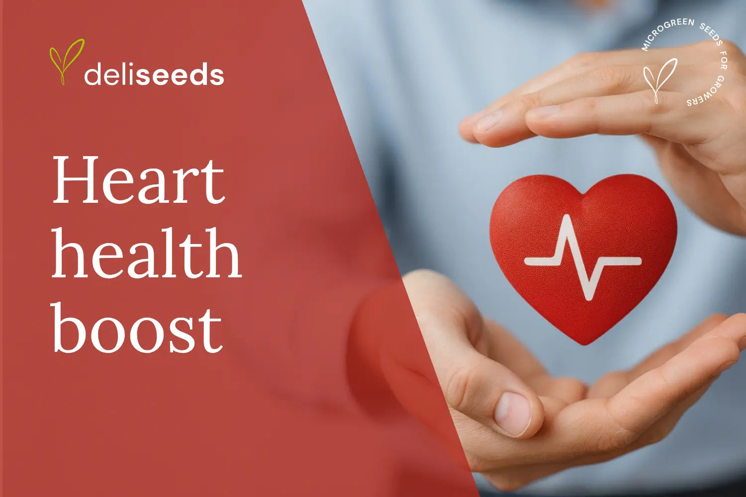 Red cabbage microgreens for evidence-based heart-health nutrition