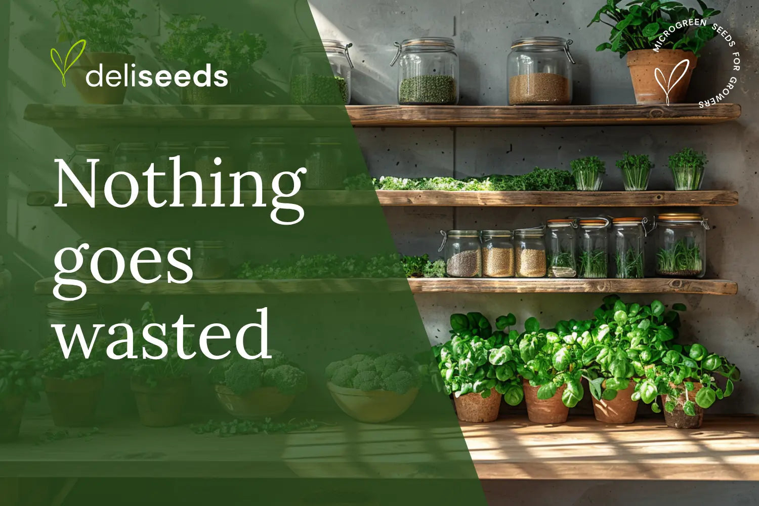 Zero-waste kitchen ingredients with fresh microgreens