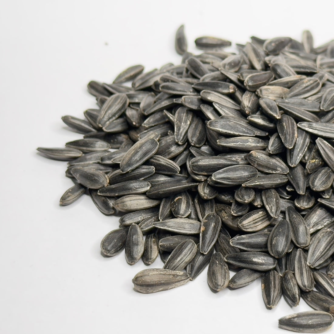 Słonecznik – nasiona mikroliści