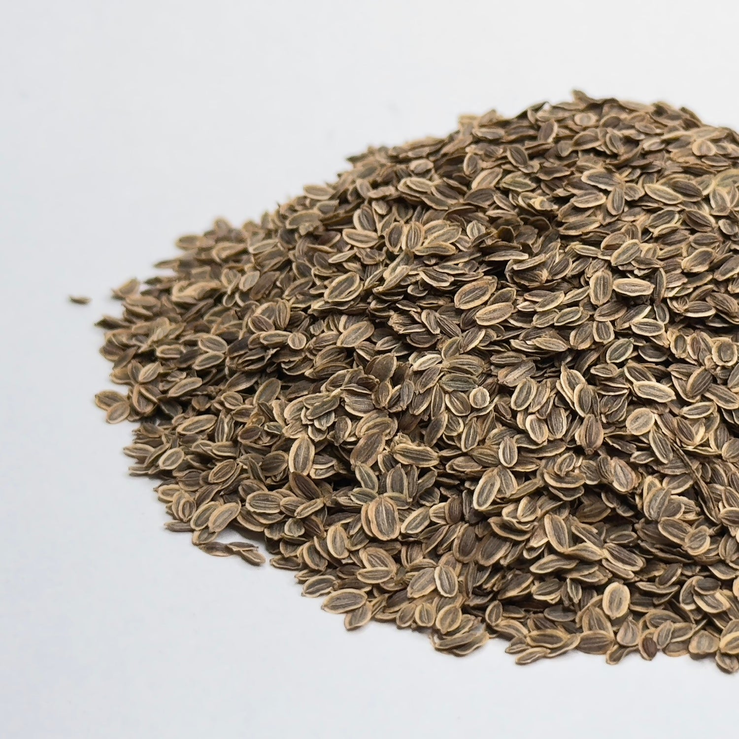 Koper - nasiona mikroliści