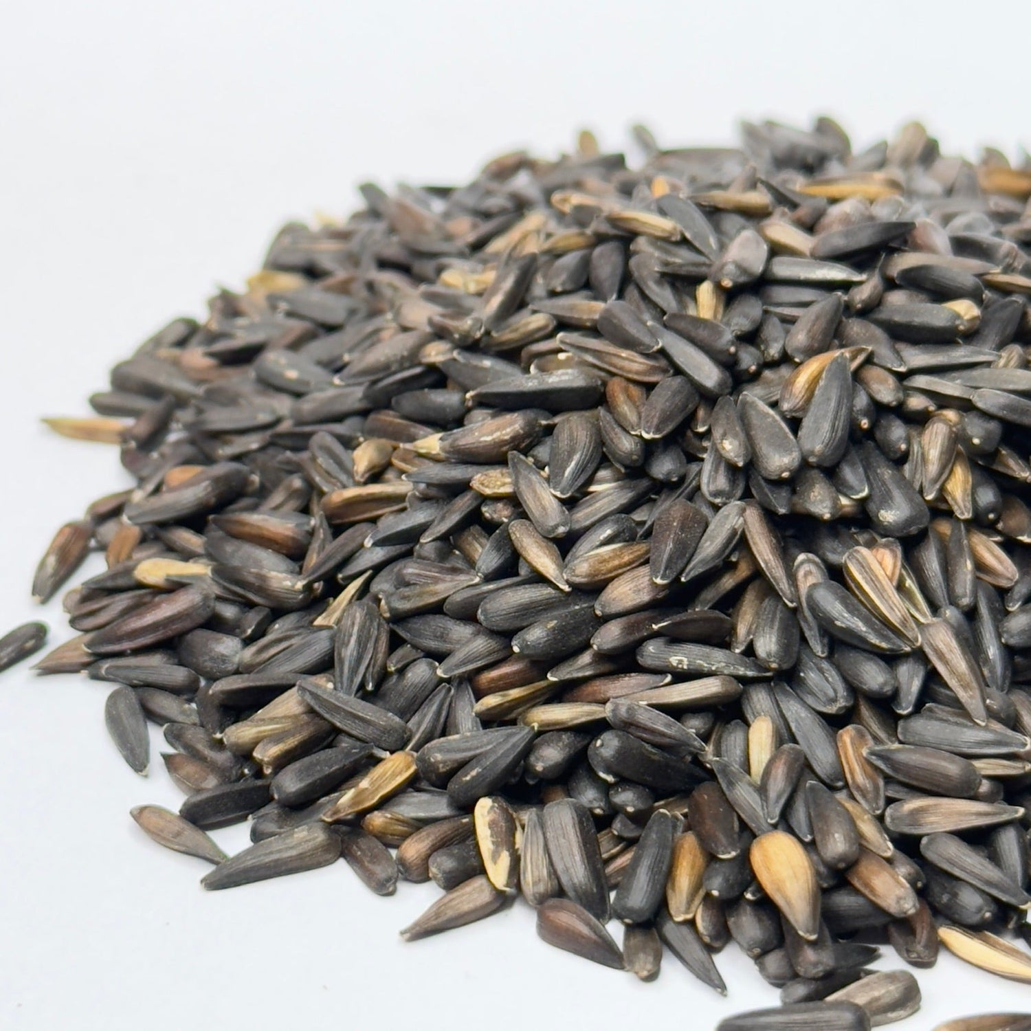 Słonecznik (Micro Seeds) – nasiona mikrogreenów