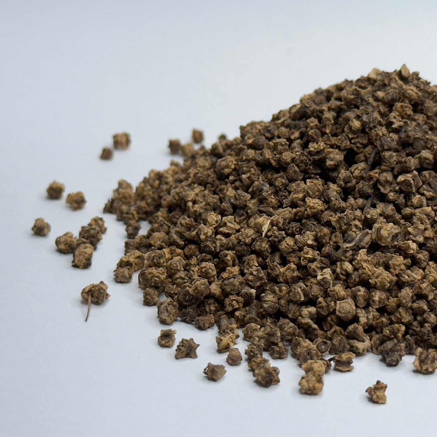 Burak, różowy – nasiona mikrogreenów