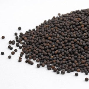 Rzepak – nasiona mikrogreenów