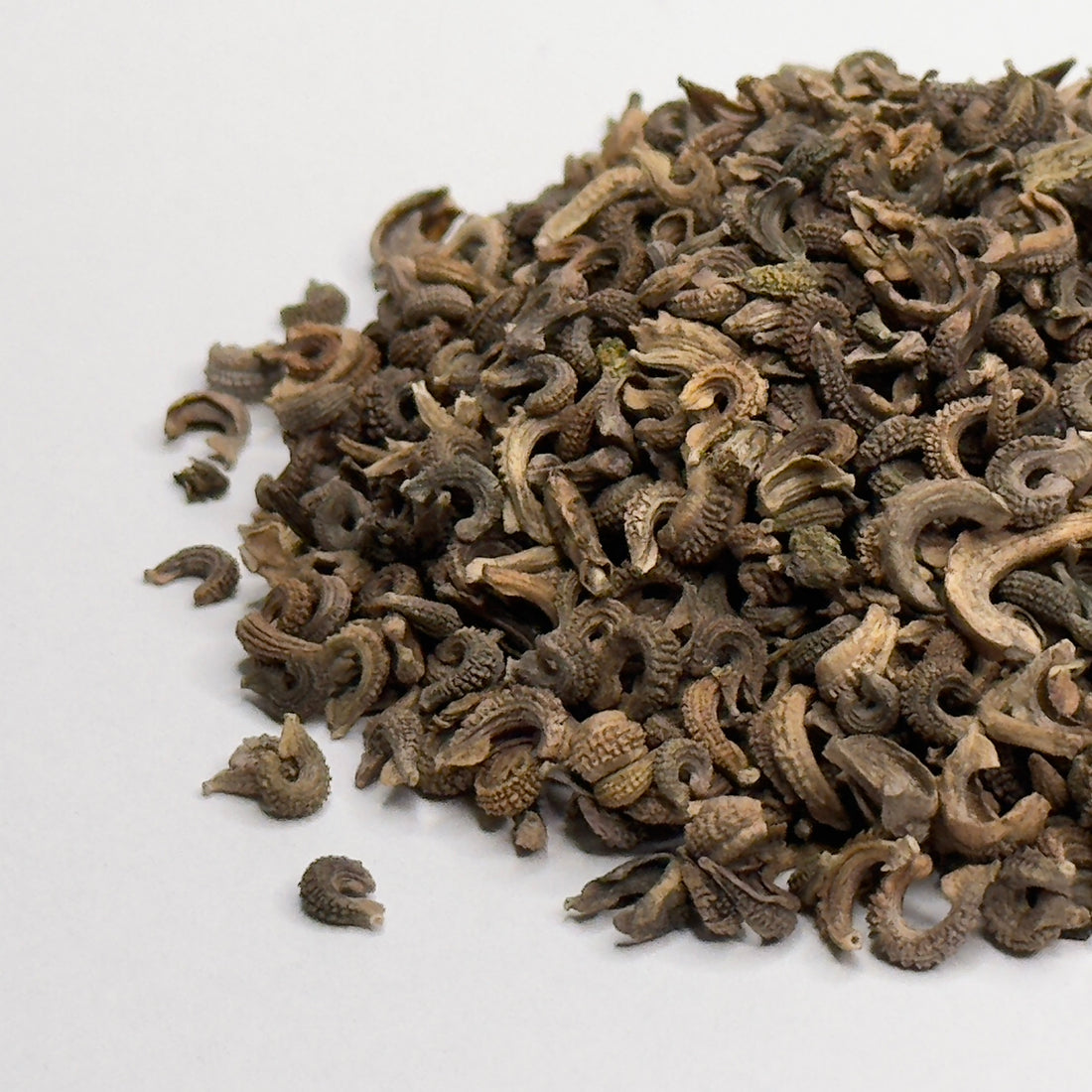 Nagietek lekarski (Pot Marigold) – nasiona mikrogreenów