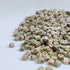 Beet, Yellow - microgreens seeds 