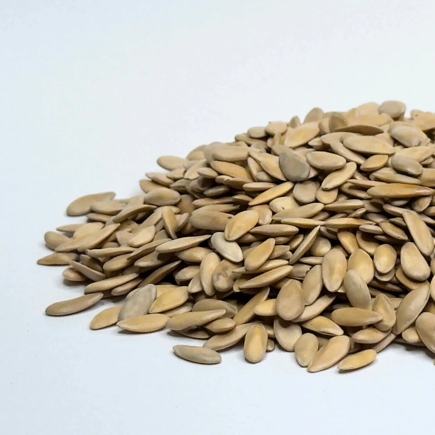 Melon Cantaloupe - microgreens seeds 