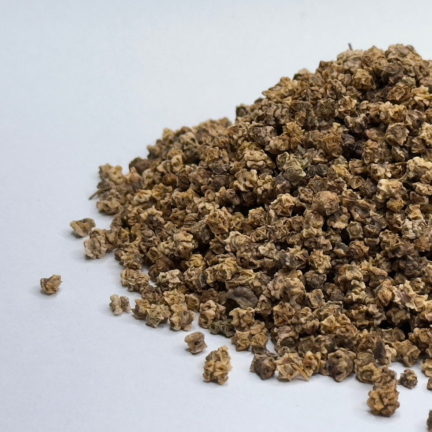 Beet, Harley Queen  - microgreens seeds for growing