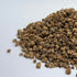 Beet, Harley Queen  - microgreens seeds for growing