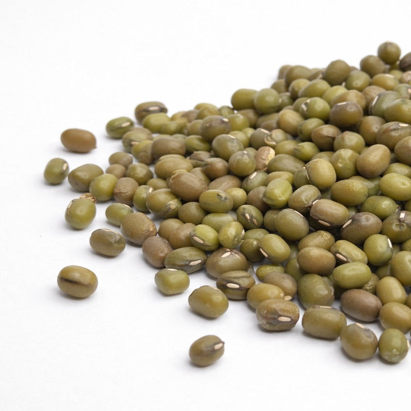 Mung Bean - microgreens seeds for growing