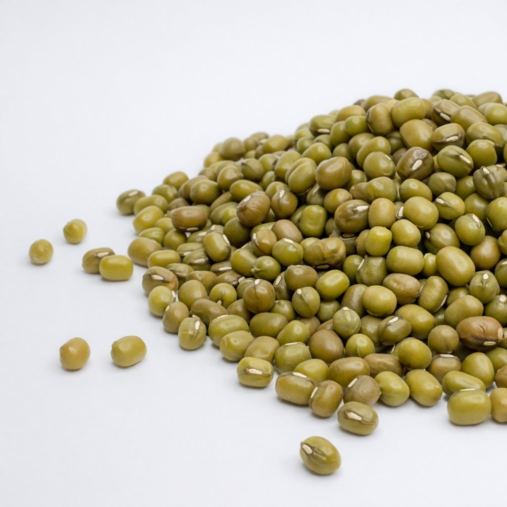 Organic Mung Bean - microgreens seeds for growing
