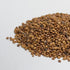 Radish, Venom - microgreens seeds for growing