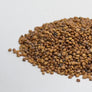 Radish, Venom - microgreens seeds for growing